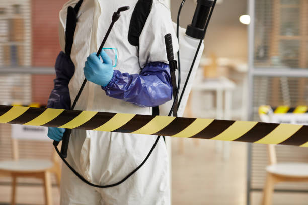Professional Biohazard technician working in Naples, TX
